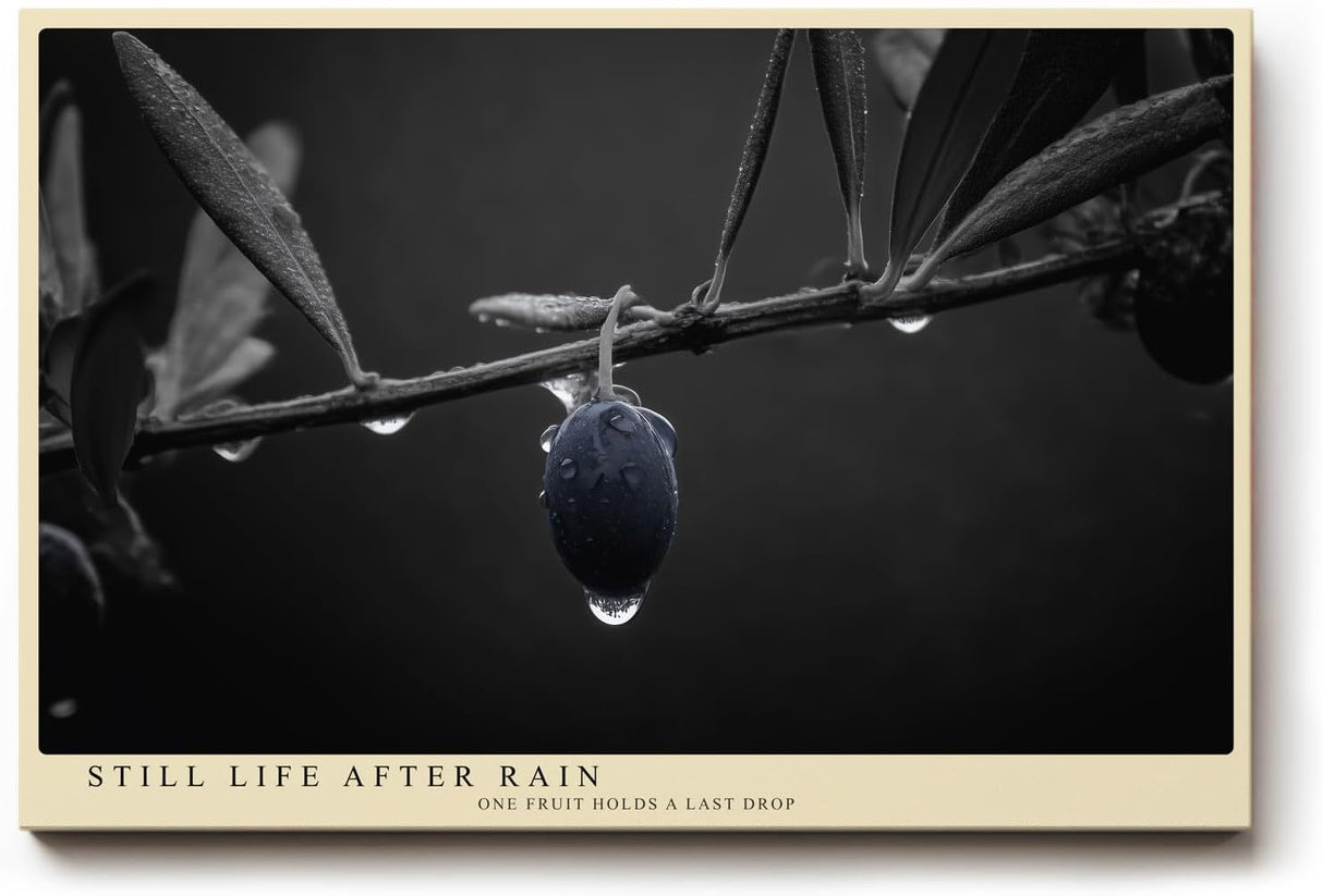 Paul Sinus Wandbild 120x80cm Olive Zweig Stillleben Schwarz Weiss Naturfotografie elegantes Kunstposter minimalistische Wanddekoration fuer Wohnzimmer Kueche Esszimmer Büro