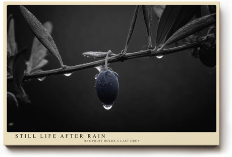 Paul Sinus Wandbild 120x80cm Olive Zweig Stillleben Schwarz Weiss Naturfotografie elegantes Kunstposter minimalistische Wanddekoration fuer Wohnzimmer Kueche Esszimmer Büro