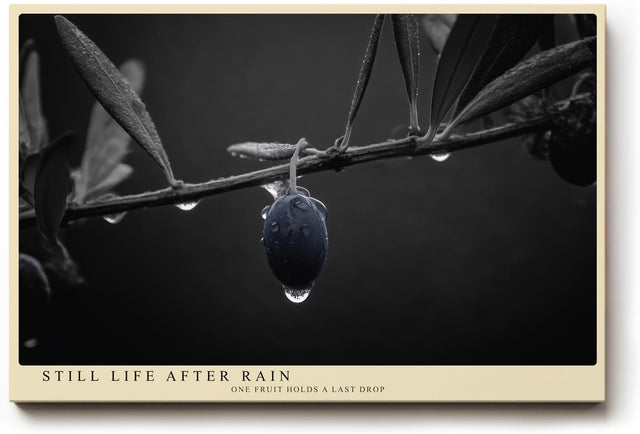 Paul Sinus Wandbild 120x80cm Olive Zweig Stillleben Schwarz Weiss Naturfotografie elegantes Kunstposter minimalistische Wanddekoration fuer Wohnzimmer Kueche Esszimmer Büro