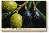 Paul Sinus Wandbild 120x80cm Oliven Makrofotografie mediterrane Frucht Naturmotiv gruene schwarze Oliven moderne Wanddekoration fuer Kueche Esszimmer Wohnzimmer