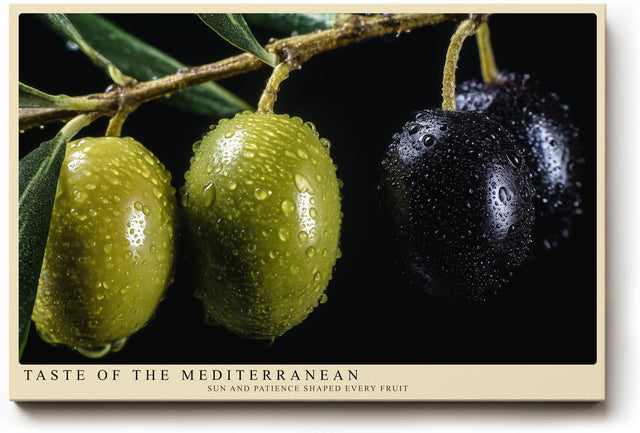 Paul Sinus Wandbild 120x80cm Oliven Makrofotografie mediterrane Frucht Naturmotiv moderne Kuechen Wanddekoration fuer Esszimmer Kueche Wohnzimmer