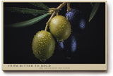 Paul Sinus Wandbild 120x80cm Olivenzweig Makrofotografie mediterrane Frucht Naturmotiv moderne Kuechen Wanddekoration fuer Esszimmer Wohnzimmer