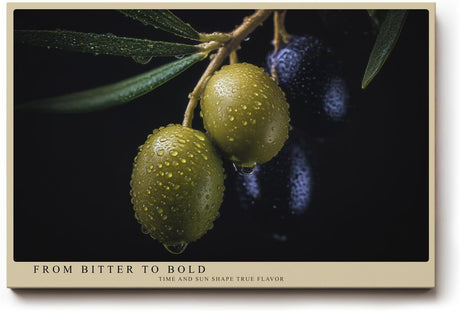 Paul Sinus Wandbild 120x80cm Olivenzweig Makrofotografie mediterrane Frucht Naturmotiv moderne Kuechen Wanddekoration fuer Esszimmer Wohnzimmer