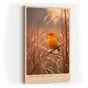 Paul Sinus Wandbild in 40x60cm Oranger Singvogel im Morgentau mit goldener Lichtstimmung