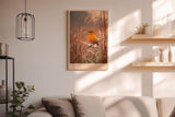 Paul Sinus Wandbild in 40x60cm Oranger Singvogel im Morgentau mit goldener Lichtstimmung