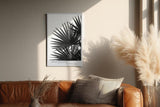 Paul Sinus Wandbild in 40x60cm Palm Shadows – Schwarz-weißes Palmenblattmotiv mit markanten Lichtund Schattenspielen