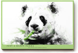 Paul Sinus Wandbild 120x80cm Panda Aquarell Illustration Tiermotiv schwarz weiß grün moderne Tierkunst ruhiges Naturbild stilvolle Wanddekoration für Wohnzimmer Kinderzimmer Büro