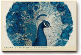 Paul Sinus Wandbild 120x80cm Pfau mit ausgebreiteten Federn Blaue Vogelkunst fuer Wohnzimmer Schlafzimmer und stilvolle Wohnräume