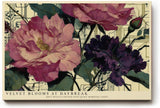Paul Sinus Wandbild 120x80cm Pfingstrosen Blumen Kunst moderne florale Illustration Wanddekoration Wohnzimmer Schlafzimmer