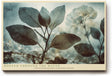 Paul Sinus Wandbild 120x80cm Pflanze im Wasser Natur Makro Fotokunst grün blau Kunstdruck ruhige botanische