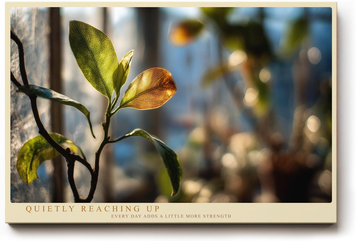 Paul Sinus Wandbild 120x80cm Pflanzen Makrofotografie Blatt im Sonnenlicht ruhige Natur Fotokunst modernes Naturbild stilvolle
