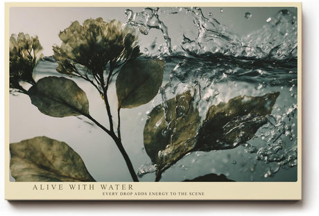 Paul Sinus Wandbild 120x80cm Pflanzenzweig im Wasser dynamische Naturfotografie frische botanische Kunst stilvolle Wanddekoration fuer Wohnzimmer Büro