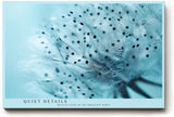 Paul Sinus Wandbild 120x80cm Pusteblume Detail Makrofotografie in hellen Blautönen minimalistische Naturkunst stilvolles botanisches Kunstbild für Wohnzimmer Büro