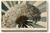 Paul Sinus Wandbild 120x80cm Pusteblume modern Naturmotiv beige blau Kunstdruck grosses Wandbild 120x80cm ruhige botanische Wanddekoration fuer Wohnzimmer Büro
