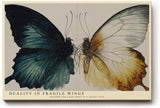 Paul Sinus Wandbild 120x80cm Schmetterling Illustration Dualitaet Natur Kunst Wanddekoration moderne Tierkunst Wohnzimmer Schlafzimmer