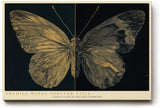 Paul Sinus Wandbild 120x80cm Schmetterling Illustration modern gold schwarz Natur Kunst Kunstdruck grosses Kunstbild elegante Wanddekoration fuer Wohnzimmer Büro