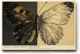 Paul Sinus Wandbild 120x80cm Schmetterling Kontrast modern schwarz weiss Natur Kunst Kunstdruck grosses Kunstbild stilvolle Wanddekoration fuer Wohnzimmer Büro