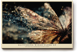 Paul Sinus Wandbild 120x80cm Schmetterling Makrofotografie funkelnde Flügel detailreiche Natur Fotokunst modernes Tierbild für Wohnzimmer Büro