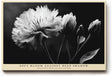 Paul Sinus Wandbild 120x80cm Schwarz Weiss Blume elegante Makro Blumenfotografie moderne Natur Wanddekoration