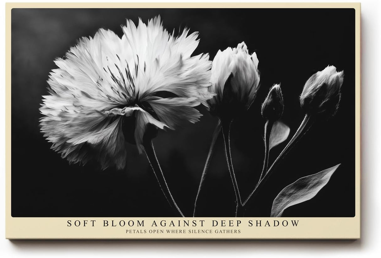 Paul Sinus Wandbild 120x80cm Schwarz Weiss Blume elegante Makro Blumenfotografie moderne Natur Wanddekoration