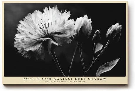 Paul Sinus Wandbild 120x80cm Schwarz Weiss Blume elegante Makro Blumenfotografie moderne Natur Wanddekoration