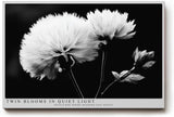 Paul Sinus Wandbild 120x80cm Schwarz Weiss Blumen Duo elegante Makro Naturfotografie moderne Wanddekoration