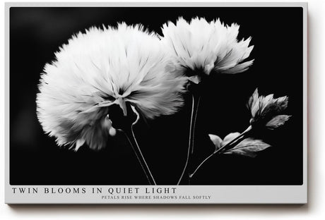 Paul Sinus Wandbild 120x80cm Schwarz Weiss Blumen Duo elegante Makro Naturfotografie moderne Wanddekoration