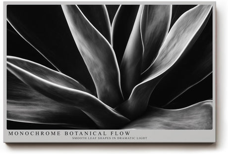 Paul Sinus Wandbild 120x80cm Schwarz Weiss Pflanzen Makrofotografie elegante botanische Blattstruktur modernes Natur Kunstbild für Wohnzimmer Büro Flur