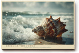 Paul Sinus Wandbild 120x80cm Shell at Tidal Edge Muschel am Strand mit Meereswellen Maritime Natur Kunst fuer Wohnzimmer Schlafzimmer und Büro
