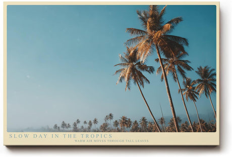 Paul Sinus Wandbild 120x80cm Slow Day in the Tropics Tropische Palmen Landschaft Sommer Natur Kunst fuer Wohnzimmer Schlafzimmer und Büro