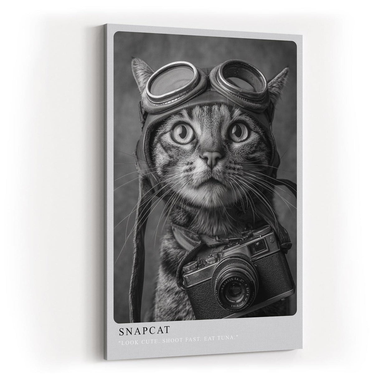 Paul Sinus Wandbild in 40x60cm Snapcat – Humorvolles Katzenporträt in Schwarz-Weiß mit Kamera und Fliegerbrille