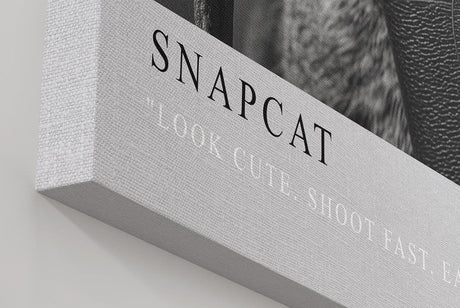Paul Sinus Wandbild in 40x60cm Snapcat – Humorvolles Katzenporträt in Schwarz-Weiß mit Kamera und Fliegerbrille