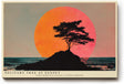 Paul Sinus Wandbild 120x80cm Solitary Tree at Sunset dramatische Landschaft mit Baum Silhouette vor roter Sonne Kunst Poster für Wohnzimmer Büro