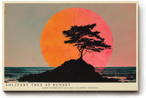 Paul Sinus Wandbild 120x80cm Solitary Tree at Sunset dramatische Landschaft mit Baum Silhouette vor roter Sonne Kunst Poster für Wohnzimmer Büro
