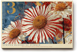 Paul Sinus Wandbild 120x80cm Striped Blooms of Summer moderne Blumen Kunst rote und weiße Blüten Poster für Wohnzimmer Schlafzimmer