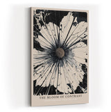Paul Sinus Wandbild in 40x60cm The Bloom of Contrast – Abstraktes Blumenmotiv in Schwarz und Weiß mit intensiver Ausdruckskraft