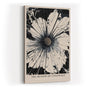 Paul Sinus Wandbild in 40x60cm The Bloom of Contrast – Abstraktes Blumenmotiv in Schwarz und Weiß mit intensiver Ausdruckskraft