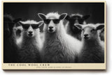 Paul Sinus Wandbild 120x80cm The Cool Wool Crew Lustige Schafe mit Sonnenbrillen Schwarz Weiss Tierkunst fuer Wohnzimmer Büro und Flur