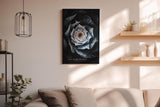Paul Sinus Wandbild in 40x60cm The Dark Bloom – Detailliertes Blumenmotiv in dunklen und kühlen Farbtönen