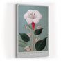 Paul Sinus Wandbild in 40x60cm The Spotted Bloom Botanische Illustration einer weißen Blüte mit roten Punkten und grünen Blättern