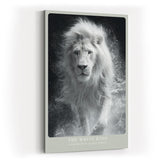 Paul Sinus Wandbild in 40x60cm The White King Weißer Löwe in frontaler Pose mit Wasserbewegung in monochromer Darstellung