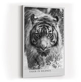 Paul Sinus Wandbild in 40x60cm Tiger in Silence – Ausdrucksstarkes Schwarz-Weiß-Porträt eines Tigers im Wasser