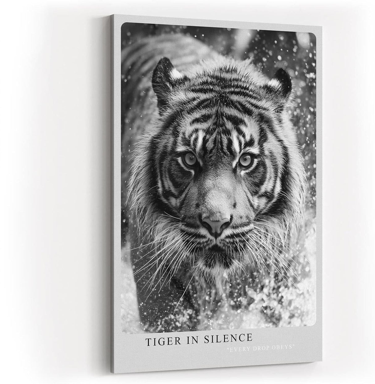 Paul Sinus Wandbild in 40x60cm Tiger in Silence – Ausdrucksstarkes Schwarz-Weiß-Porträt eines Tigers im Wasser