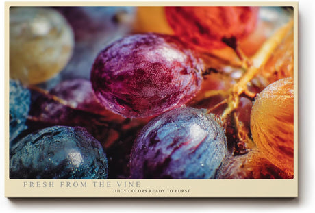 Paul Sinus Wandbild 120x80cm Trauben Makrofotografie bunt moderne Obst Kunst Kunstdruck grosses Wandbild 120x80cm frische Wanddekoration fuer Kueche Esszimmer Wohnzimmer