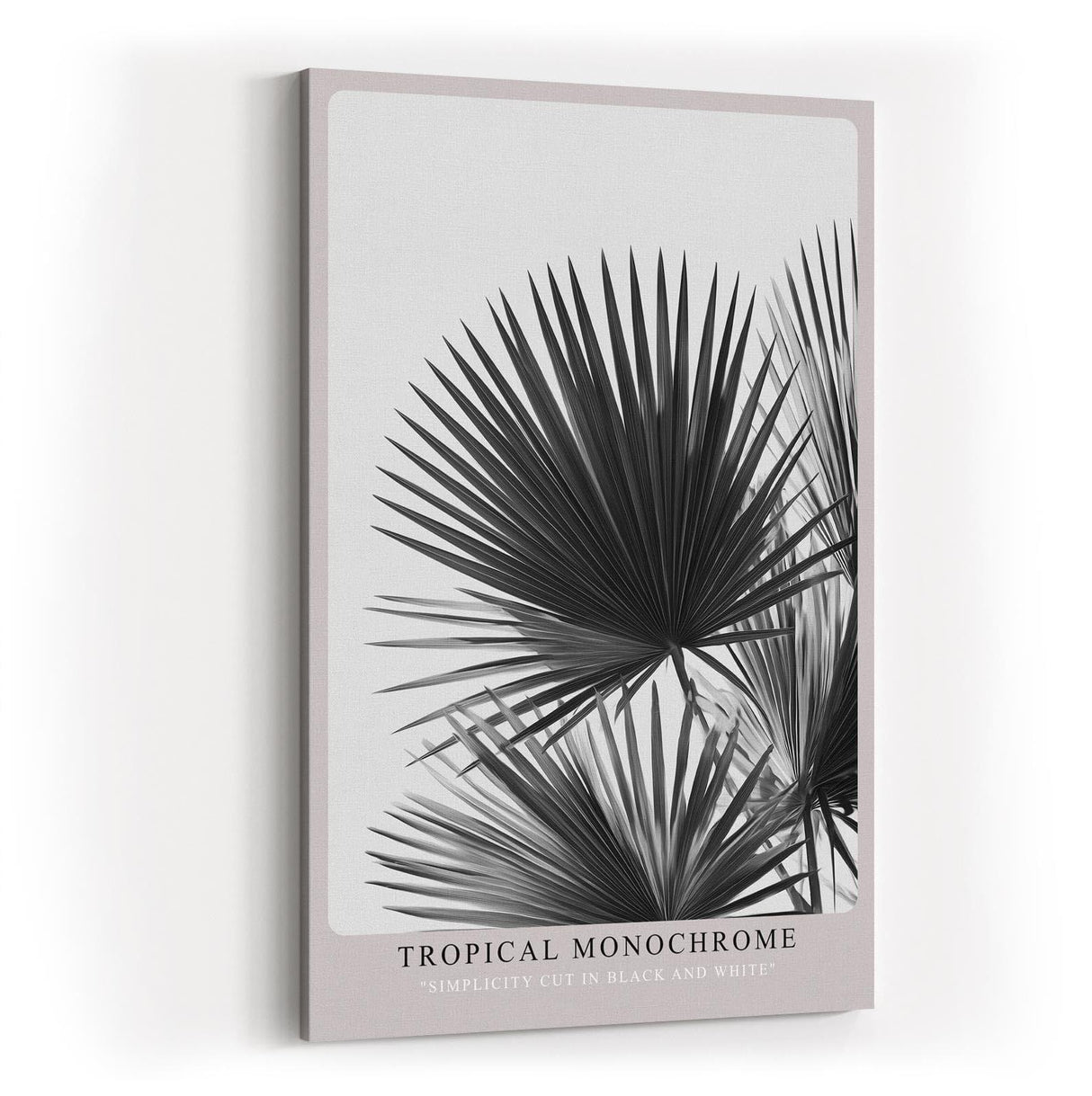 Paul Sinus Wandbild in 40x60cm Tropical Monochrome – stilvolle Palmenblätter in Schwarz-Weiß Fotokunst für modernes Wohndesign auf hochwertiger Leinwand