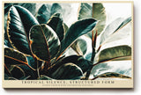 Paul Sinus Wandbild 120x80cm Tropische Blaetter moderne botanische Kunst Wanddekoration grüne Pflanzen Naturmotiv Wohnzimmer Schlafzimmer