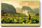 Paul Sinus Wandbild 120x80cm Tropische Landschaft mit Tabakfeld und Bergen Atmosphaerische Naturkunst in Gruen und Goldtoenen