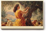 Paul Sinus Wandbild 120x80cm Tuscan Harvest in Golden Light mediterrane Olivenernte Landschaft Kunst Poster für Wohnzimmer Küche