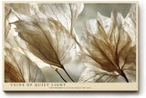 Paul Sinus Wandbild 120x80cm Veins of Quiet Light transparente Blätter Makro Natur Fotokunst in warmen Naturtönen Poster für Wohnzimmer Schlafzimmer