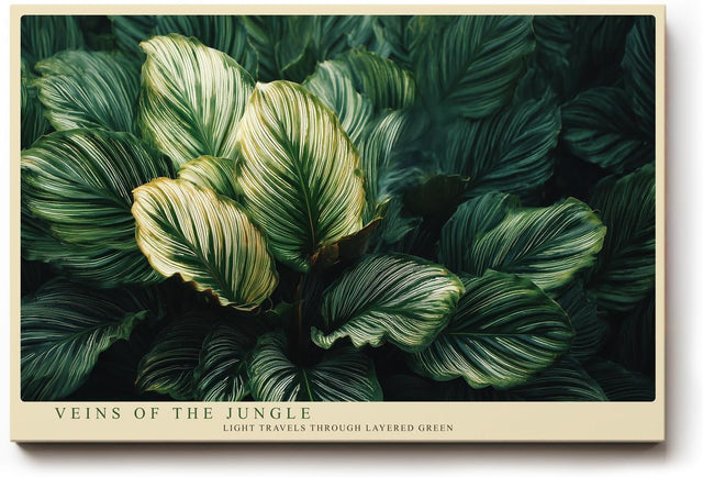 Paul Sinus Wandbild 120x80cm Veins of the Jungle tropische Blätter Makro Natur Fotokunst grüne Pflanzen Poster für Wohnzimmer Schlafzimmer Büro